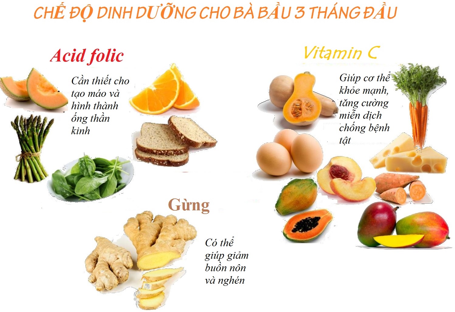 thực đơn hàng ngày cho bà bầu